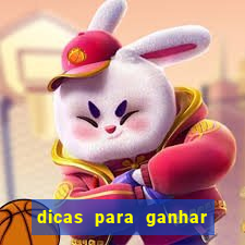 dicas para ganhar no fortune rabbit